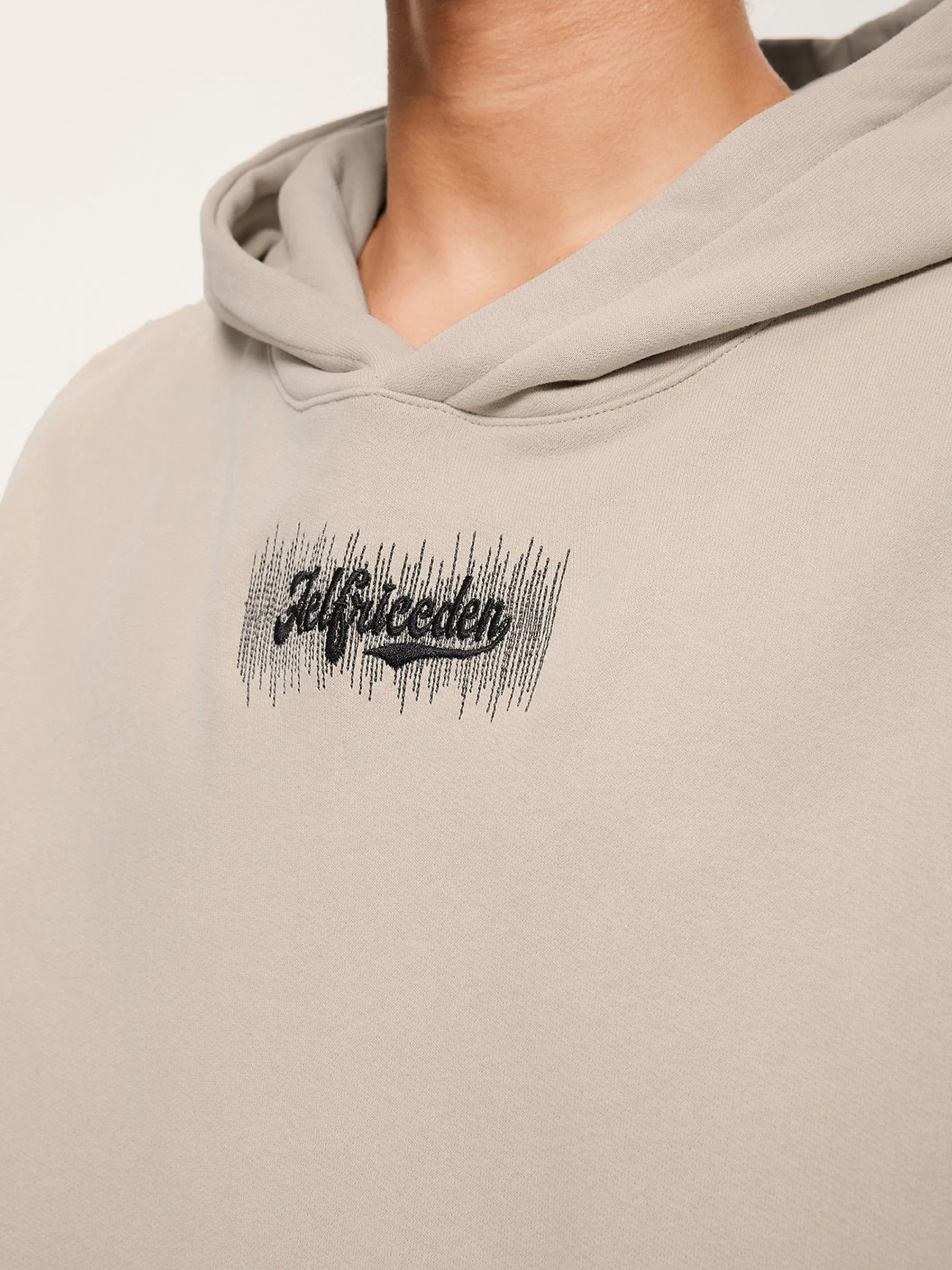 Aelfric Eden Embroidery Basic Cozy Hoodie