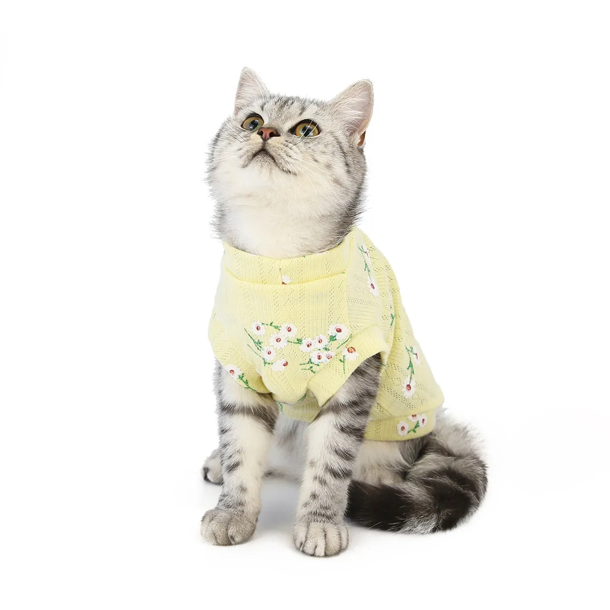 Autumn and winter cat clothes vest pet clothes