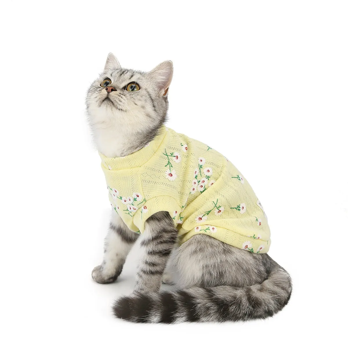 Autumn and winter cat clothes vest pet clothes