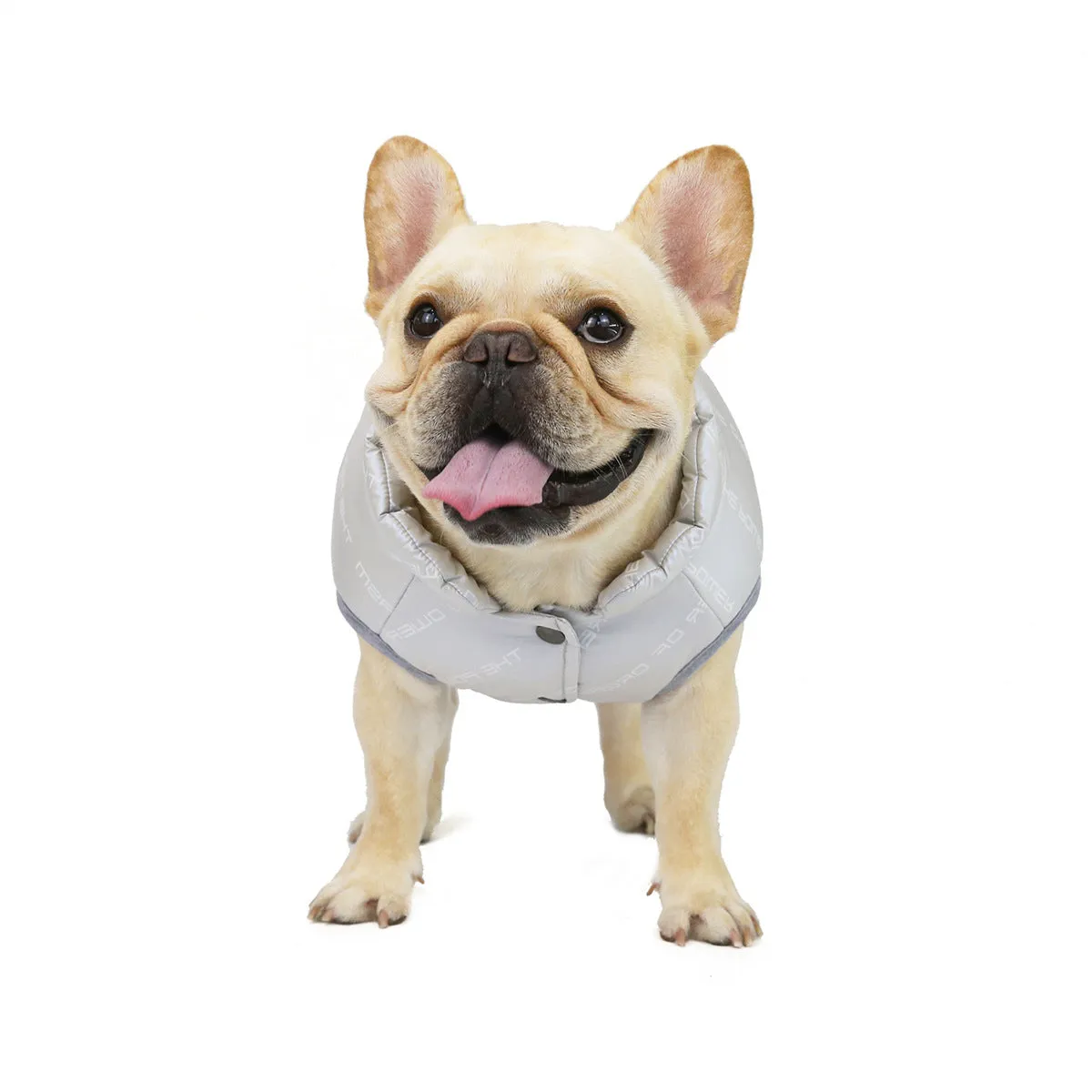 Autumn and winter windproof cotton vest pet clothing