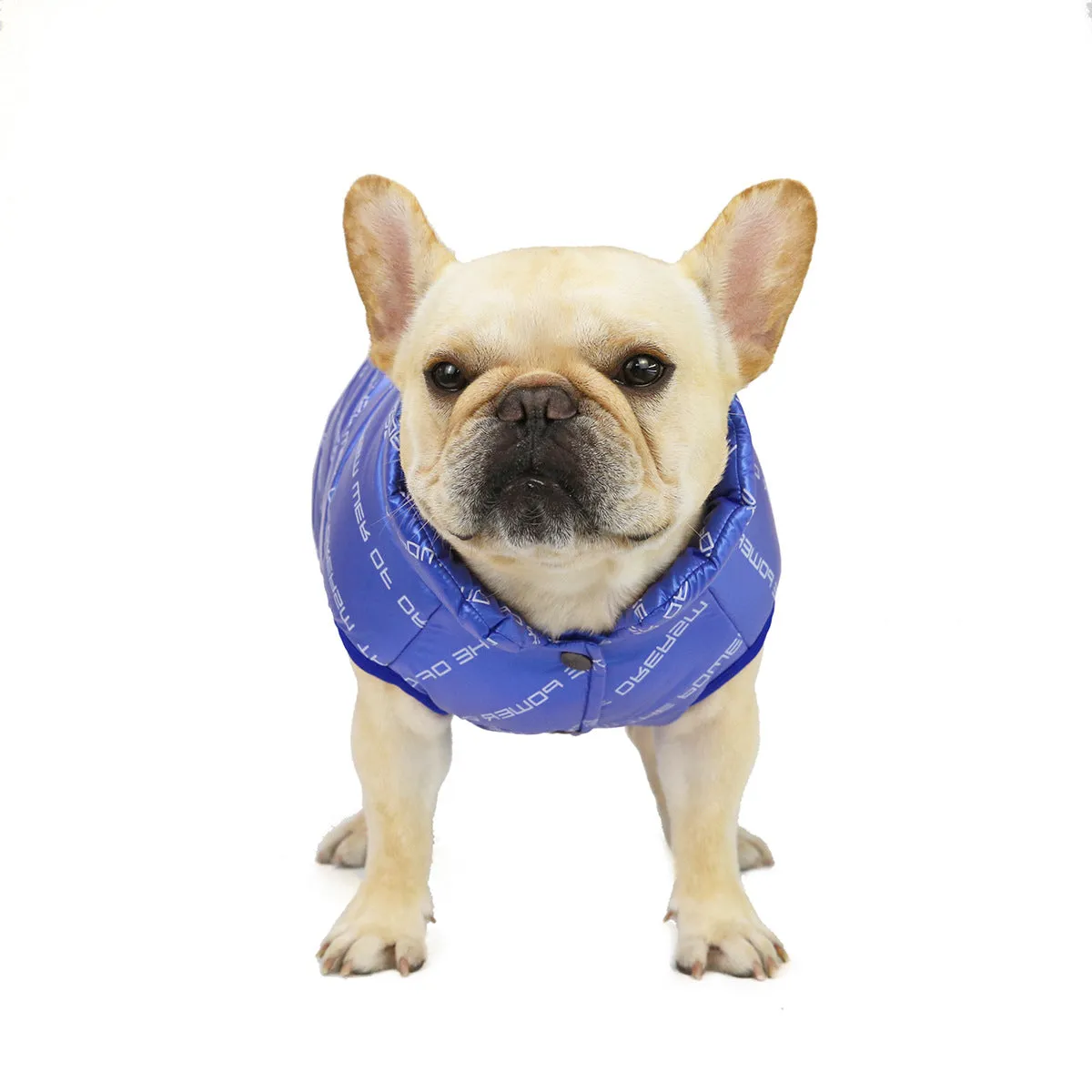 Autumn and winter windproof cotton vest pet clothing