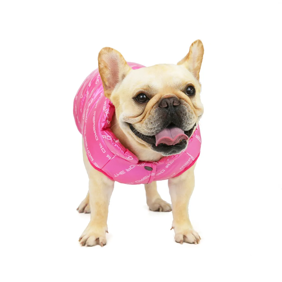 Autumn and winter windproof cotton vest pet clothing