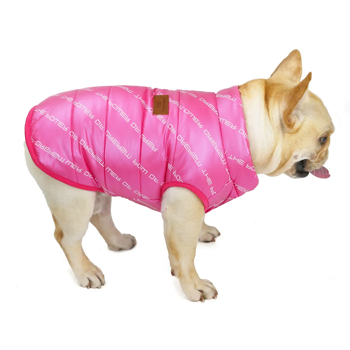 Autumn and winter windproof cotton vest pet clothing