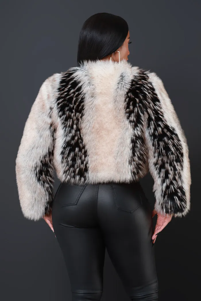 Main Attraction Cropped Faux Fur Jacket - Cream/Black