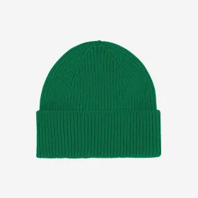 Merino Wool Beanie - Kelly Green