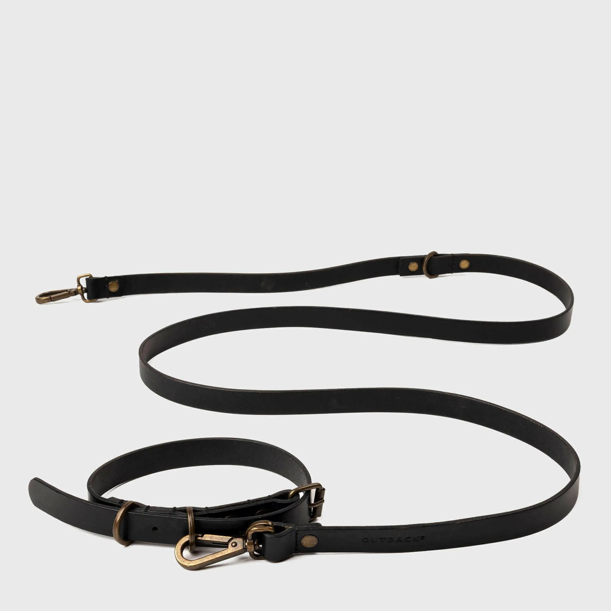 Pet Collar