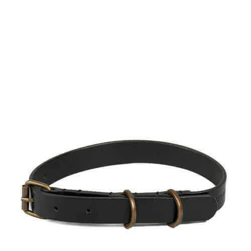 Pet Collar