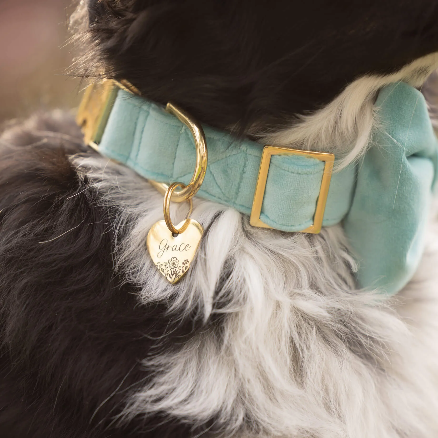 Robin’s Egg Velvet Bow Tie Collar