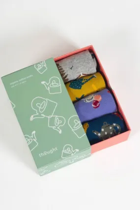 Thought A Perfect Afternoon Organic Cotton Gift Box of 4 Socks