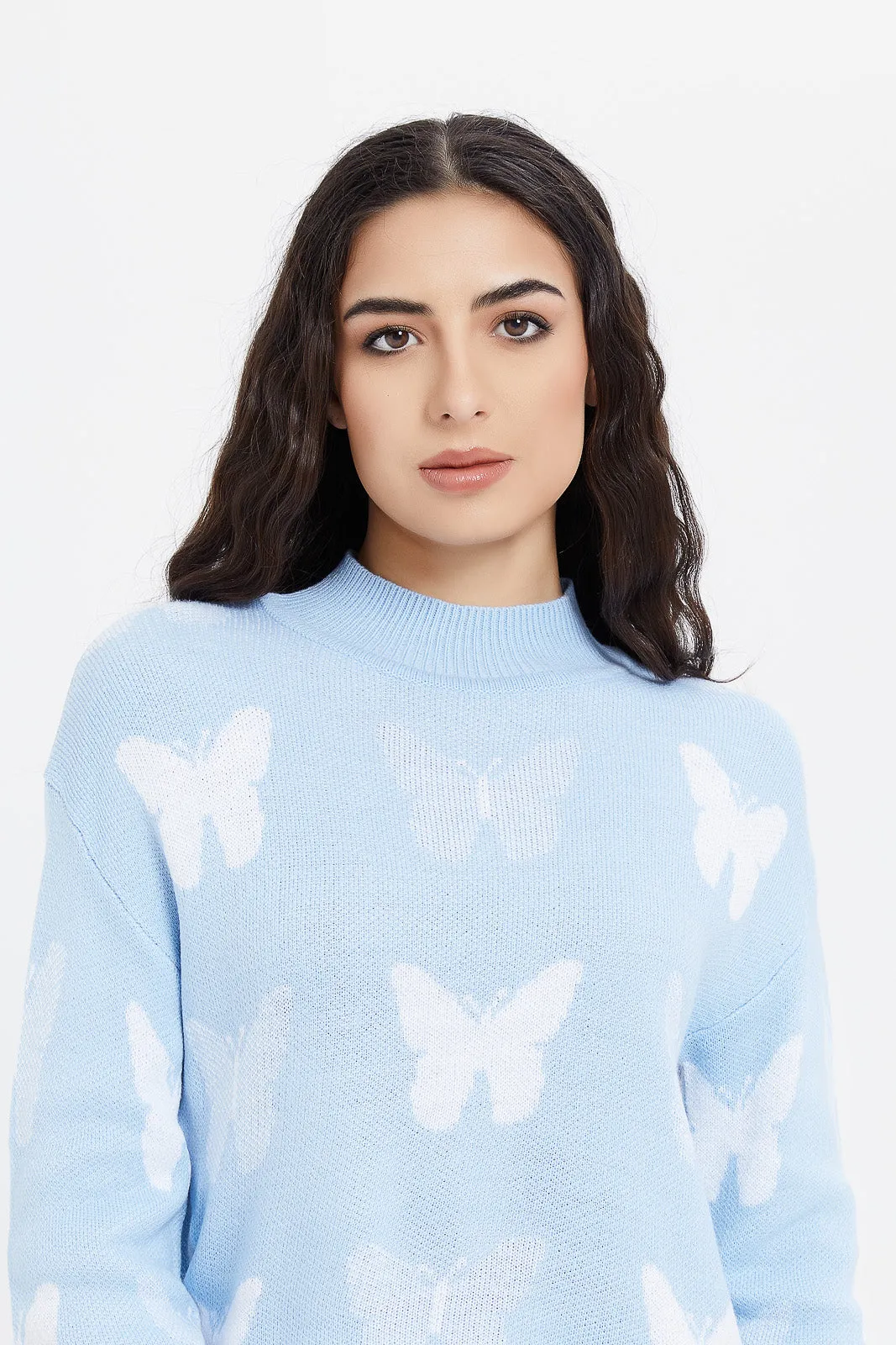 Women Blue Butterfly Knitted Pullover